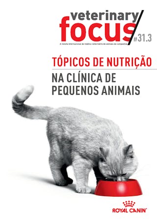 Vet Focus 31.3 nutrition